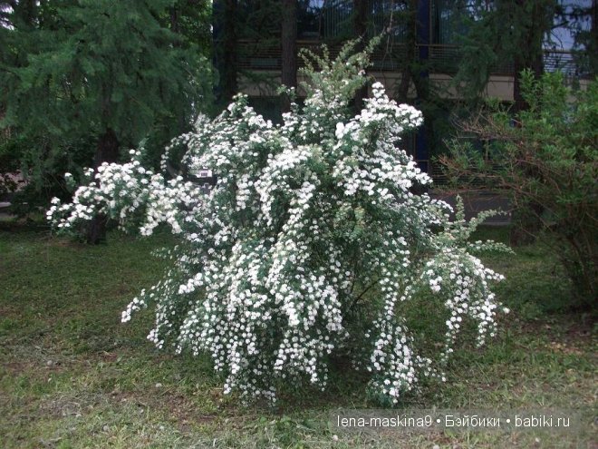 Кукла СССР Кукла СССР