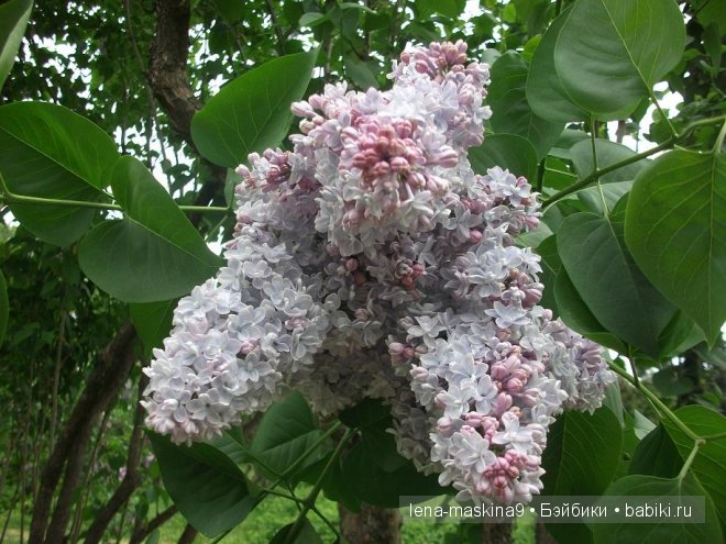 Кукла СССР Кукла СССР