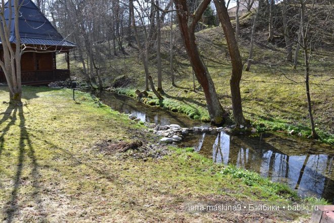 куклы куклы
