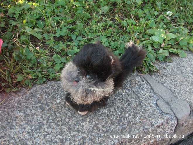 Котята на прогулке :) Игрушки нашего детства