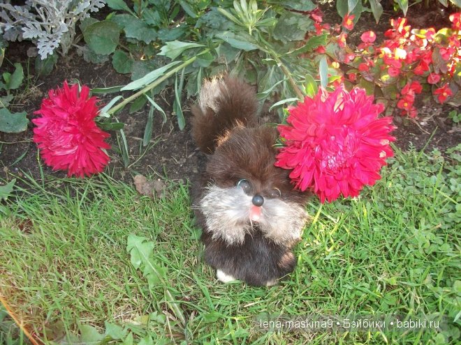 Котята на прогулке :) Игрушки нашего детства