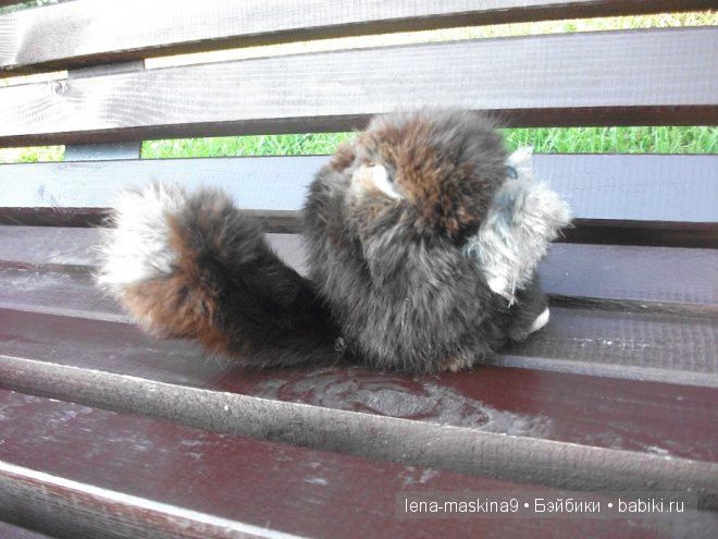 Котята на прогулке :) Игрушки нашего детства