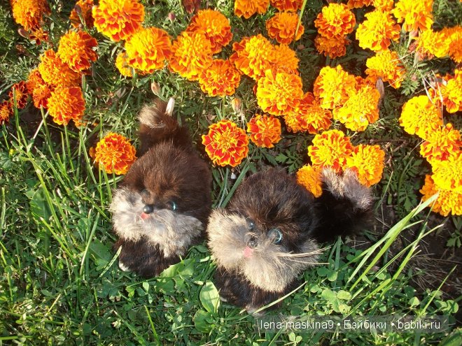 Котята на прогулке :) Игрушки нашего детства