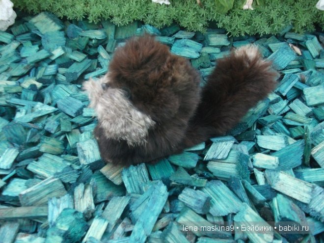 Котята на прогулке :) Игрушки нашего детства (фото 3)