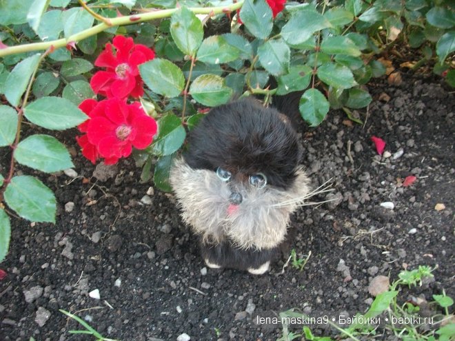 Котята на прогулке :) Игрушки нашего детства