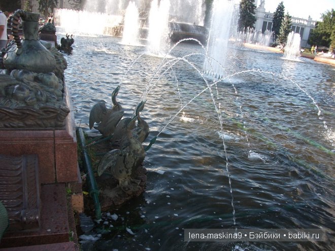 Котята на прогулке :) Игрушки нашего детства