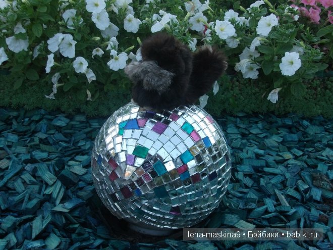 Котята на прогулке :) Игрушки нашего детства (фото 4)