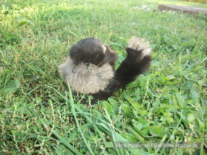 Котята на прогулке :) Игрушки нашего детства