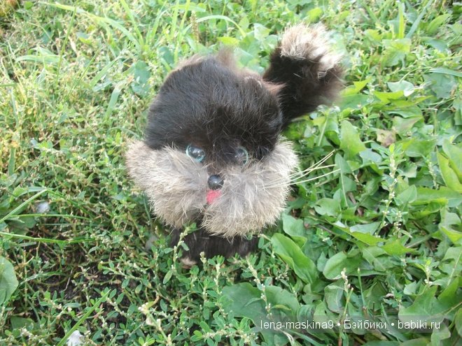 Котята на прогулке :) Игрушки нашего детства