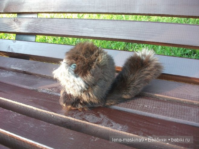 Котята на прогулке :) Игрушки нашего детства