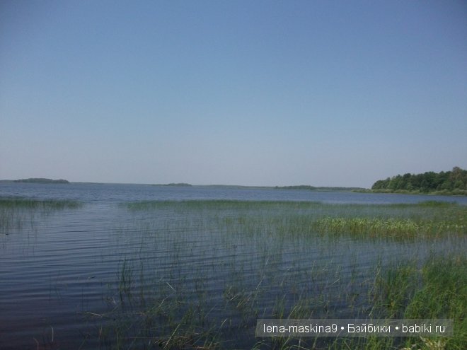 куклы куклы