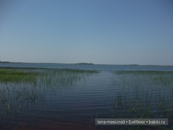 куклы куклы