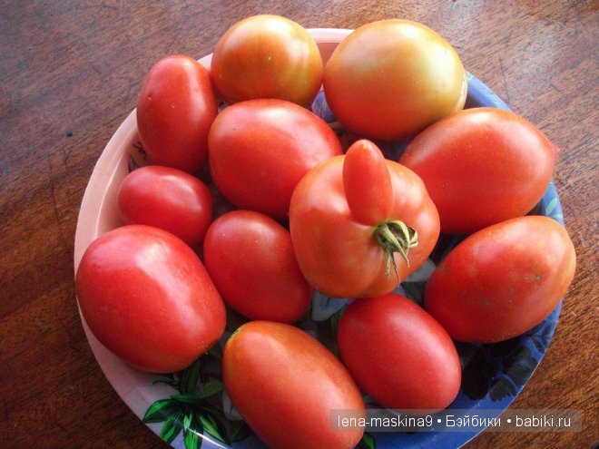 куклы куклы