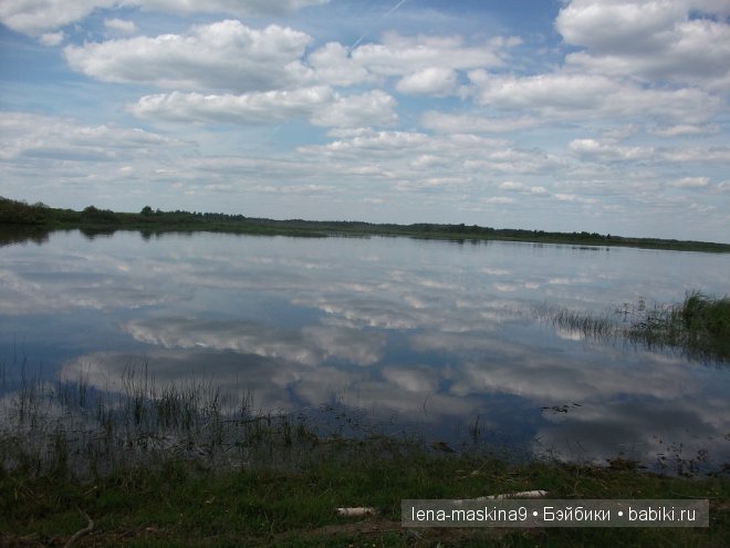 куклы куклы