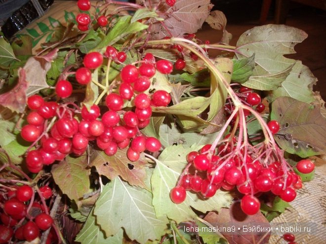куклы куклы