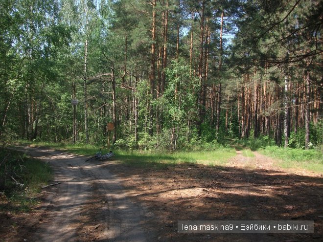 куклы куклы