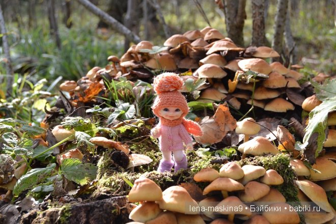 Луша на прогулке со своим другом Крошем. В осеннем лесу | Бэйбики Луша на прогулке со своим другом Крошем. В осеннем лесу