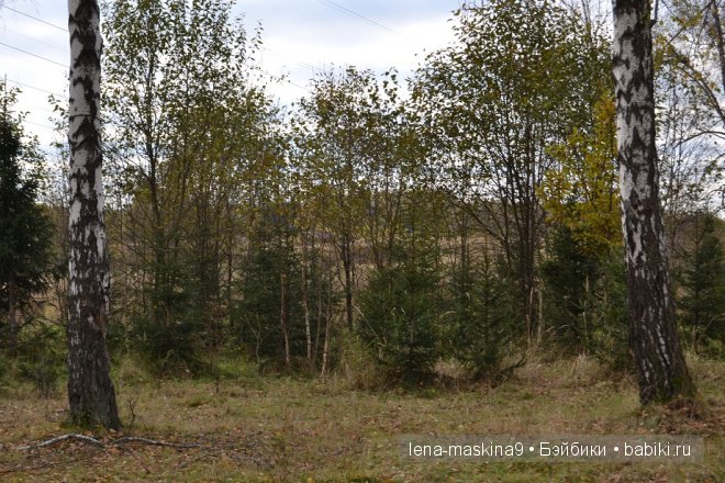 Луша на прогулке со своим другом Крошем. В осеннем лесу | Бэйбики Луша на прогулке со своим другом Крошем. В осеннем лесу