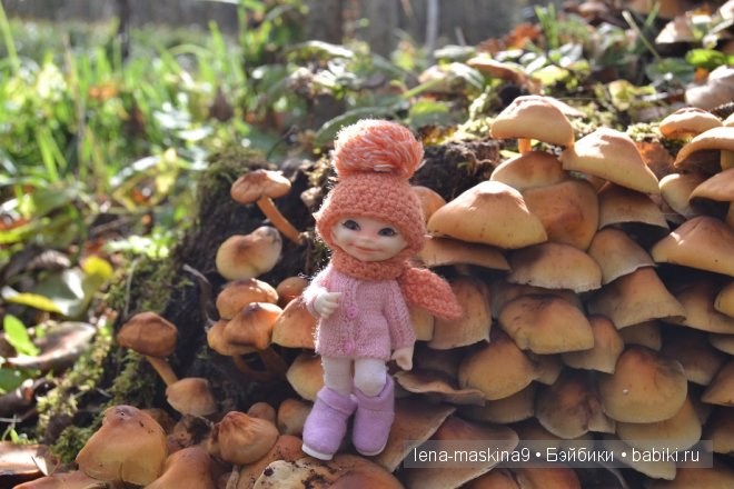 Луша на прогулке со своим другом Крошем. В осеннем лесу | Бэйбики Луша на прогулке со своим другом Крошем. В осеннем лесу