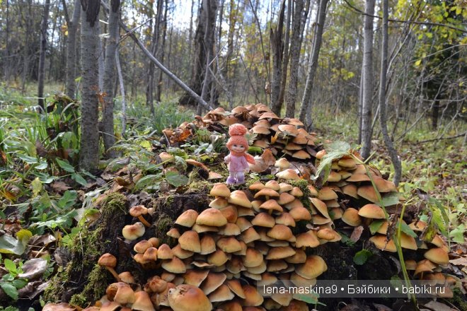 Луша на прогулке со своим другом Крошем. В осеннем лесу | Бэйбики Луша на прогулке со своим другом Крошем. В осеннем лесу