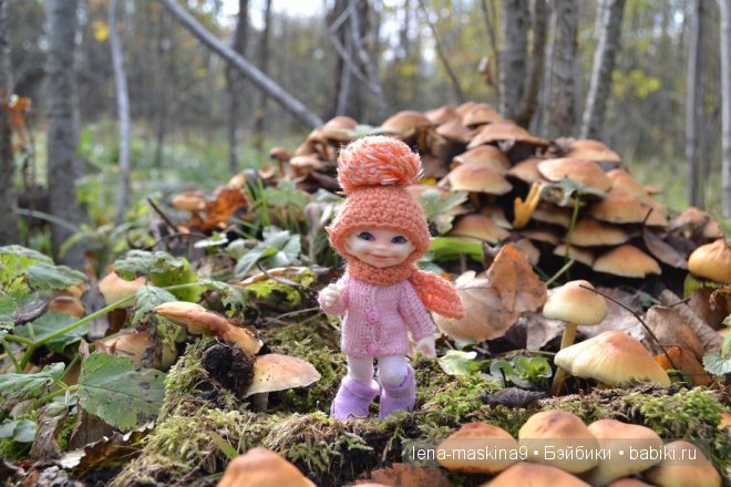 Луша на прогулке со своим другом Крошем. В осеннем лесу | Бэйбики Луша на прогулке со своим другом Крошем. В осеннем лесу