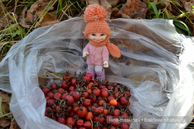 Луша на прогулке со своим другом Крошем. В осеннем лесу | Бэйбики Луша на прогулке со своим другом Крошем. В осеннем лесу (фото 4)