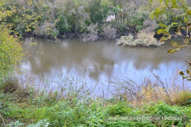 Луша на прогулке со своим другом Крошем. В осеннем лесу | Бэйбики Луша на прогулке со своим другом Крошем. В осеннем лесу