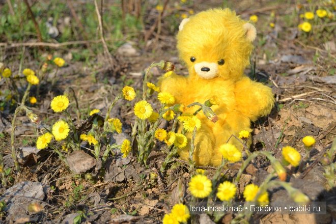 Как куколки ГДР ходили в лес