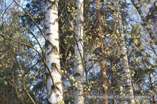 Как куколки ГДР ходили в лес