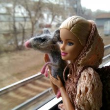 С другом в дороге веселей:))