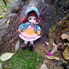 Карамелька в осеннем лесу