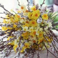 Дорогие друзья!  С Вербным Воскресением!