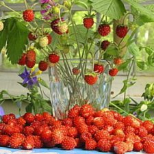 А у меня сегодня юбилей, День рождение