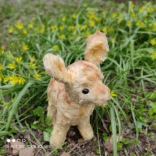 Оленёнок и всякая живность