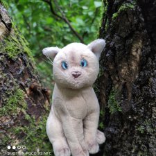 После дождика в лесу