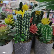 Прогулка в парк и Фикс- Прайс