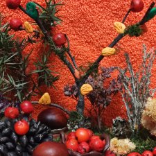 Осень- семейка ёжиков( заготовка на зиму)