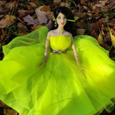 Ксения, парк, лебеди, осень