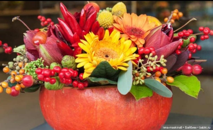 Поделки из тыквы — Другие хобби и увлечения: сад