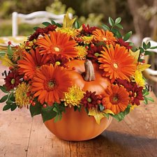 Поделки из тыквы