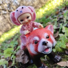 Луша - на прогулке