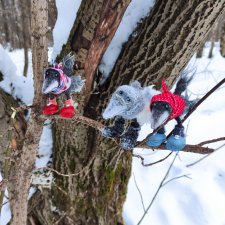 Лес, вороны Клара, Клавдия и их бабушка Евдокия