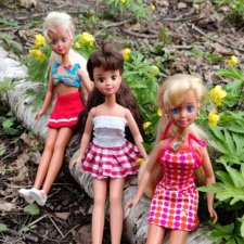 Весна, лес, куклы