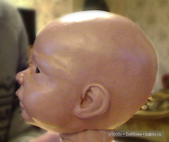 сбоку анатомия