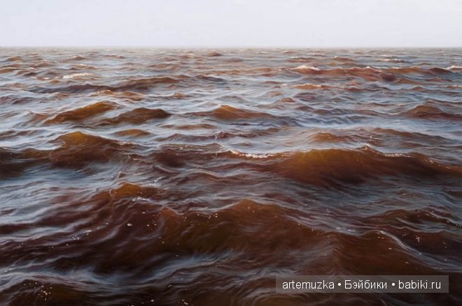 Творчество замечательного художника Мэтью Корнелла. И так хочется на море (фото 4)