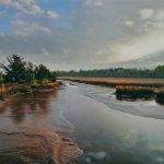 Творчество замечательного художника Мэтью Корнелла. И так хочется на море!