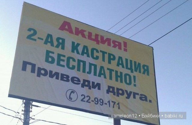 Немного хорошего настроения или нарочно не придумаешь (фото 2)