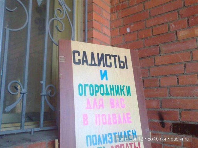 Немного хорошего настроения или нарочно не придумаешь (фото 4)