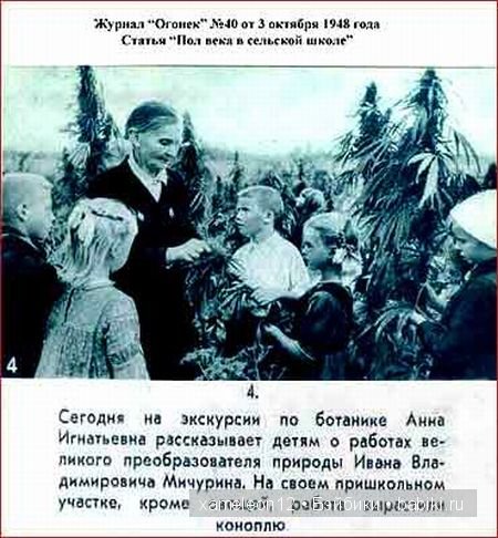 Немного хорошего настроения или нарочно не придумаешь