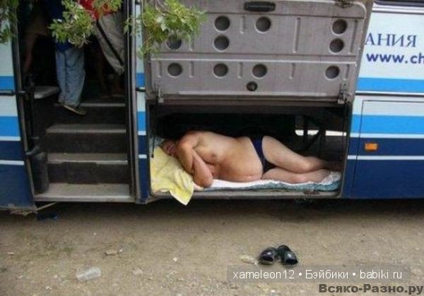 Немного хорошего настроения или нарочно не придумаешь